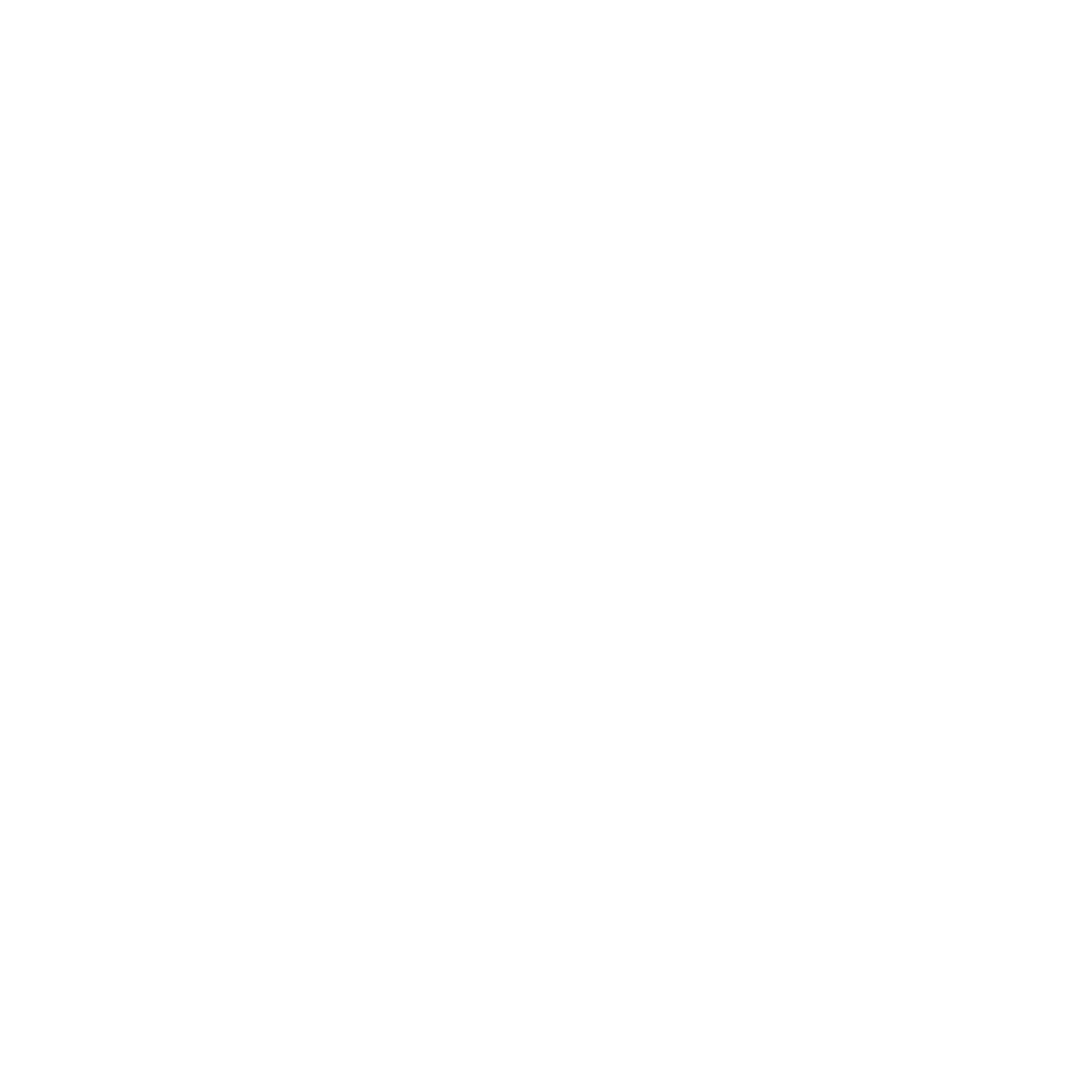 Qustody logo